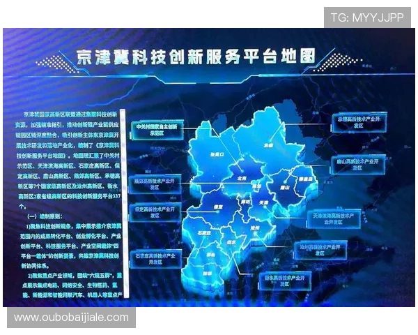 多宝真人平台未来发展趋势与创新方向，探索平台持续优化带来的新机遇